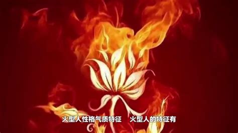 火型人帶木|【木帶火面相】木帶火面相：照亮人生的前程